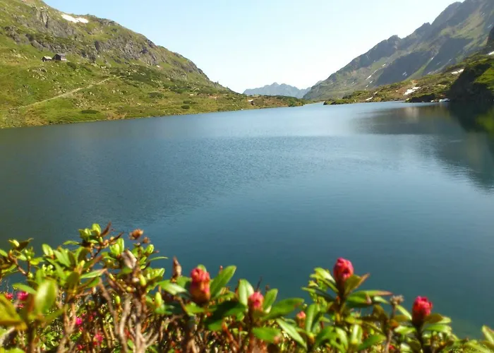 Sonnenschein Apartment